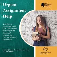 Best Assignment Experts image 4